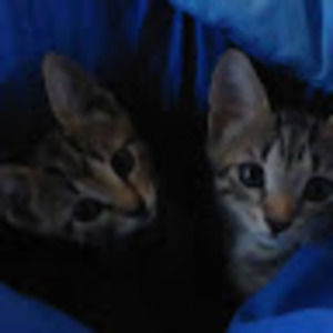 Meet your Posher, Rainford